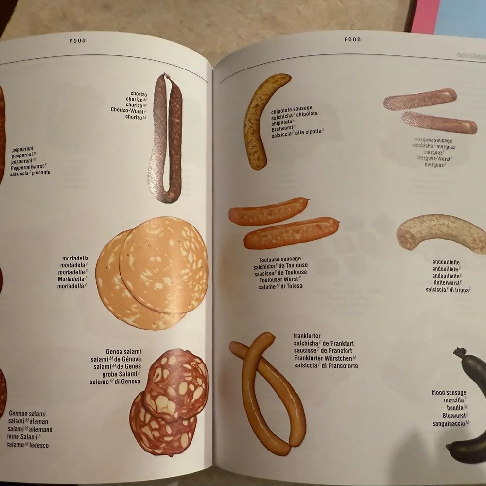 5-Language Visual Dictionary - Picture 3 of 5